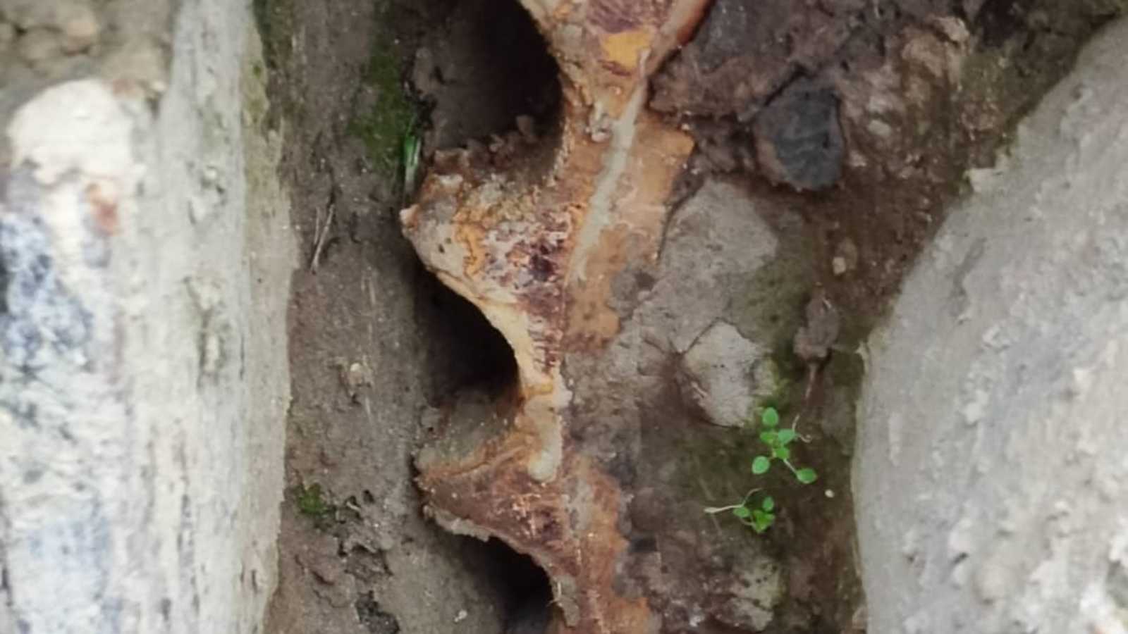 OmecoHub - Immagine 9